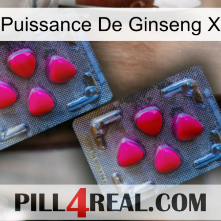 Ginseng Power X 14